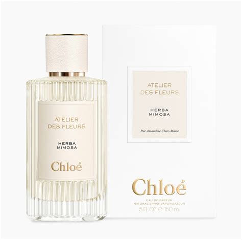 chloe herba mimosa|Herba Mimosa Chloé for women and men .